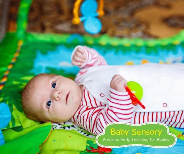 Baby Sensory Fleet