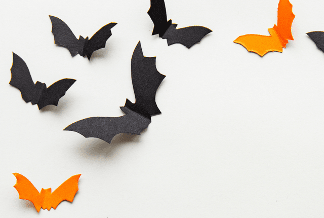 Make Your Own Spooky Bat