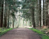 parks-and-walks