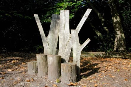 Rowhill Nature Reserve