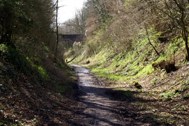 Meon Valley Trail Walk