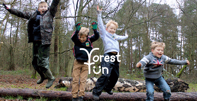 Forest Fun